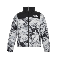 The North Face Down Jackets